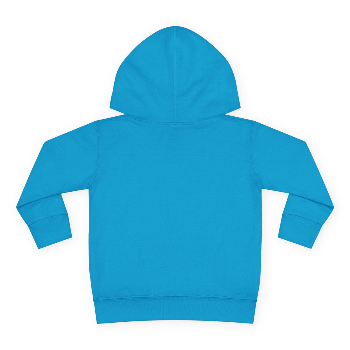 "Little King. Big Purpose" Toddler Hoodie
