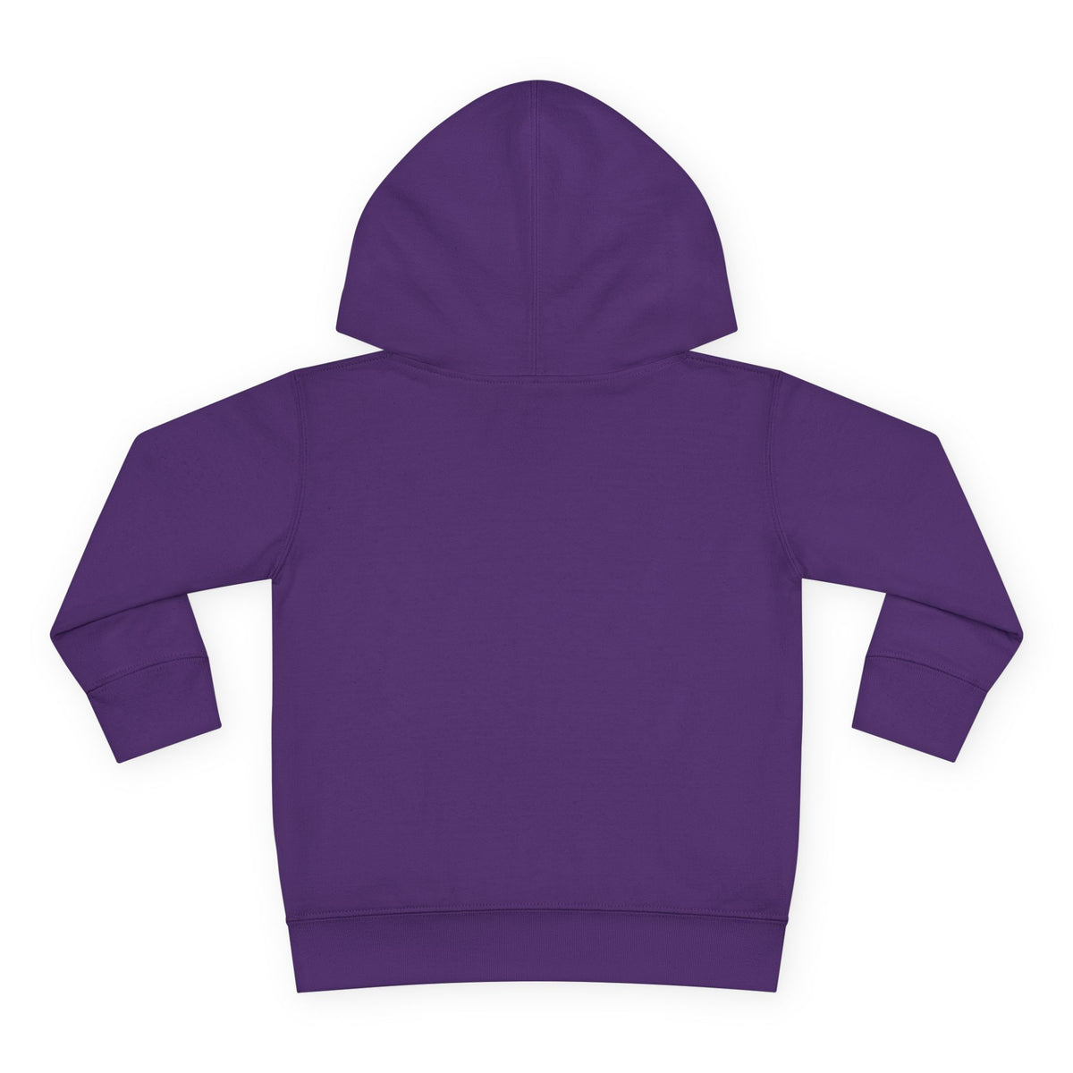 "My Legacy Starts Now" Toddler Hoodie
